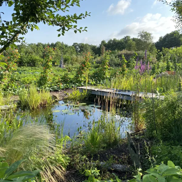 Permakultur, Nachhaltigkeit, Regional, Lebensmittel, Landwirtschaft